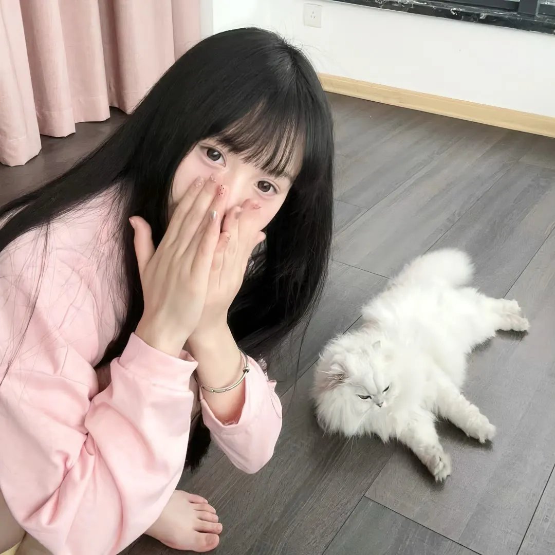 雄鹰聚会 在线观看
